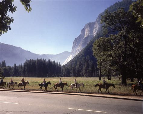 Vintage Yosemite Breathtaking Photos Of A National Treasure