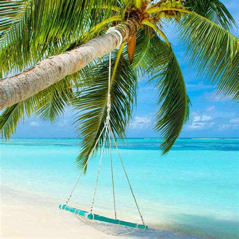 Maldives Beach Holidays 2021 / 2022 | Travelbag