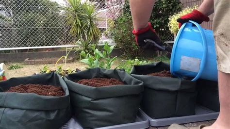 Diy making of grow bags #seemykreations. How To Make Custom Sized Potato Grow Bags & Planting PT 1 - YouTube
