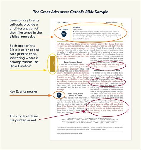 Rsv The Great Adventure Catholic Bible Leather Like 95pt — Ascensi