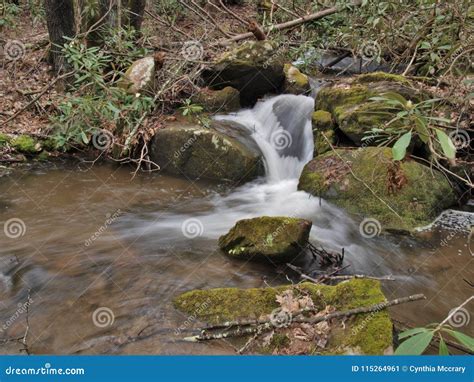 Cascades On Stone Mountain Creek In North Carolina Stock Image Image