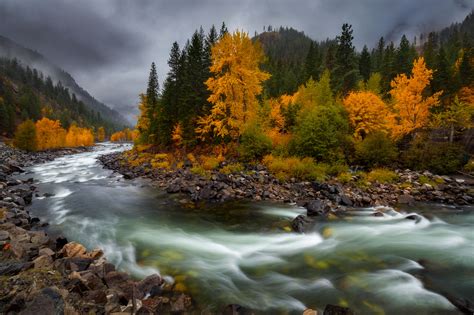 River Through Autumn Forest Hd Wallpaper Background Image 2048x1365