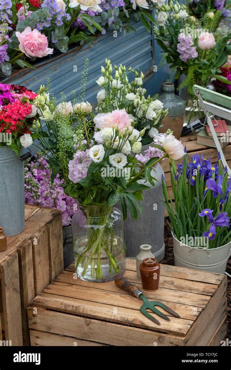 Freddies Flowers Display At Rhs Chatsworth Flower Show 2019 Chatsworth