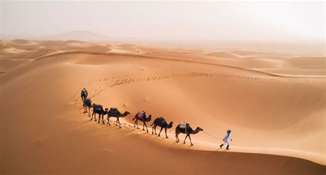 There Are Plenty Of Good Reasons Why One Should Choose Morocco When
