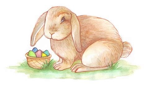 3 Ways To Draw The Easter Bunny Wikihow