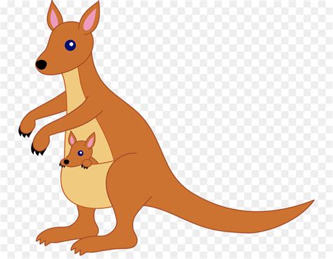 Kangaroo Drawings Clipart 10 Free Cliparts Download Images On