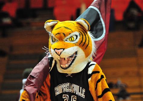 Colleges With Tiger Mascot Mascot Every City