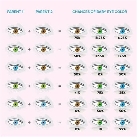 Eye Colour Genetics How To Apply Eye Color Understanding Best Eye