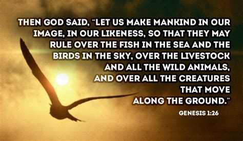 In What Ways Do You Think We Are In The Likeness Of God Genesis 126