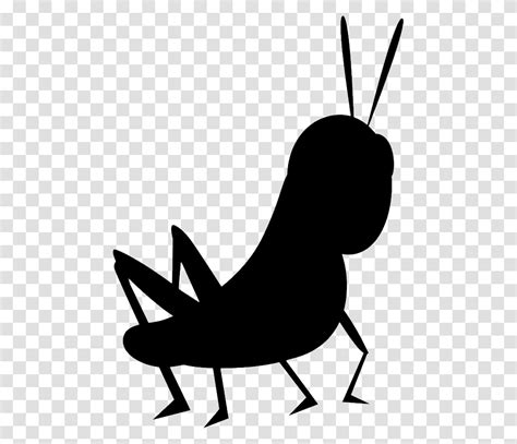 Cricket Insect Cartoon Cricket Insect Silhouette Stencil Bird