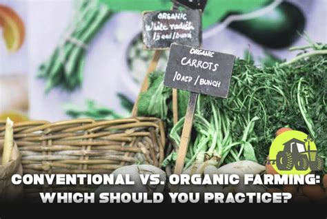 Conventional Vs Organic Farming Which Should You Practice Agrictoday
