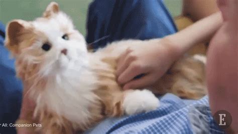 This 100 Lifelike Robotic Companion Cat Is A Toy Made For Seniors