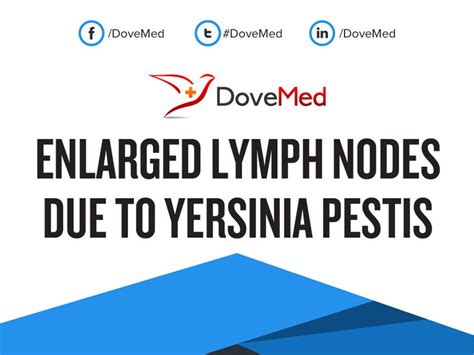 Enlarged Lymph Nodes Due To Yersinia Pestis