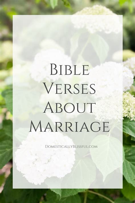 Bible Verses About Marriage Domestically Blissful