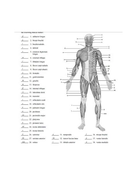 Blank Muscle Diagram To Label Anp1106 With Images