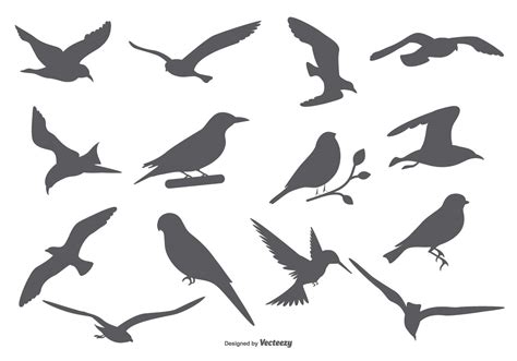 Bird Vector Silhouettes Download Free Vector Art Stock Graphics And Images