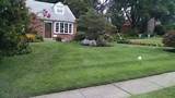 Images of Lawn Doctor Delaware