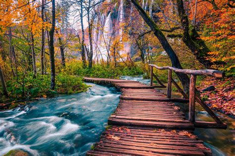 Tourist Pathway In Colorful Forest High Quality Nature Stock Photos
