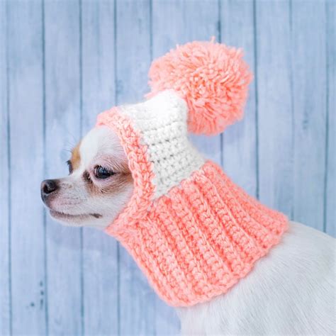 Winter Dog Hat For Dogs Snood Knit Dog Hat With Pompom Etsy