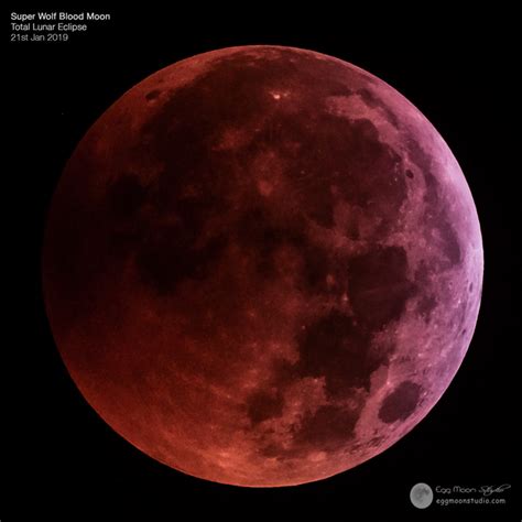 Super Wolf Blood Moon Total Lunar Eclipse 2019 Egg Moon Studio