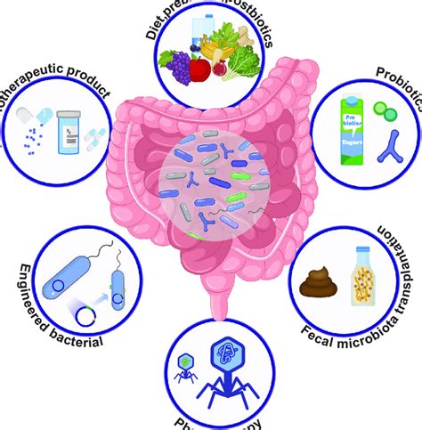 Strategies To Modify Gut Microbiota For Disease Treatment Download