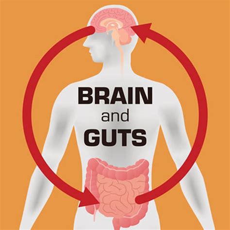 Further Evidence For Link Between Gut Bacteria And Parkinsons Disease