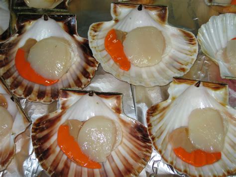 As vieiras tem uma consistência mais firme, mais parecido com a do polvo e seu sabor é mais suave, enquanto a ostra diferente das ostras, as vieiras têm grande versatilidade na gastronomia, mas é. El rincón de Mundín: VIEIRAS GRATINADAS AL HORNO