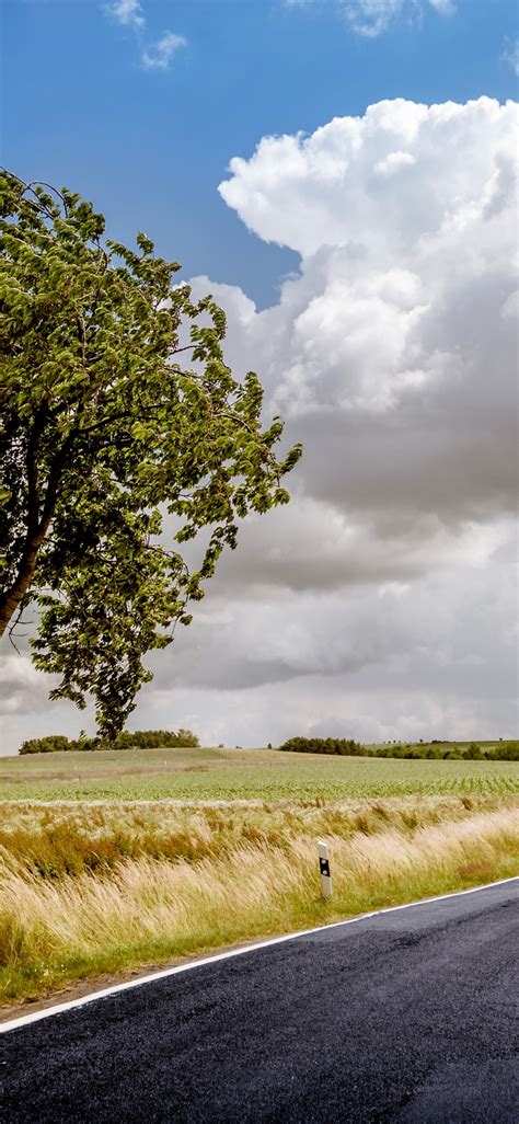Download 1125x2436 Long Road Field Tree Clouds Wallpapers For Iphone