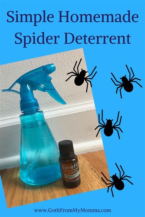 Simple Homemade Spider Deterrent Spiders Repellent Diy Peppermint