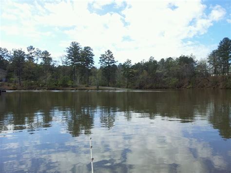 The property that was purchased to build the lake consisted of over 22 thousand acres. Smith Lake in Jasper, Alabama | Sweet home alabama, Walker ...