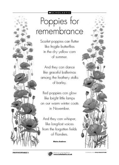 Remembrance Day Poems Remembrance Day Activities Veterans Day