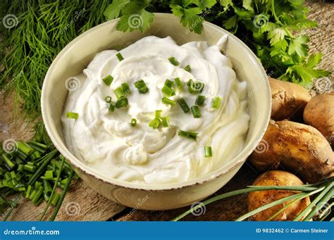 Sour Cream And Chives Stock Photo Image Of Natural Food 9832462