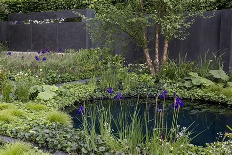 Three Ways To Improve Your Pond Pond Landscaping Natural Pond Pond Plants