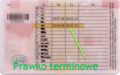 Terminowe prawo jazdy. Jak sprawnie przedłużyć?