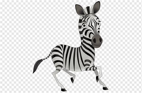 Desenho Animado Zebra Animada S Mamífero Animais Selvagens Animal