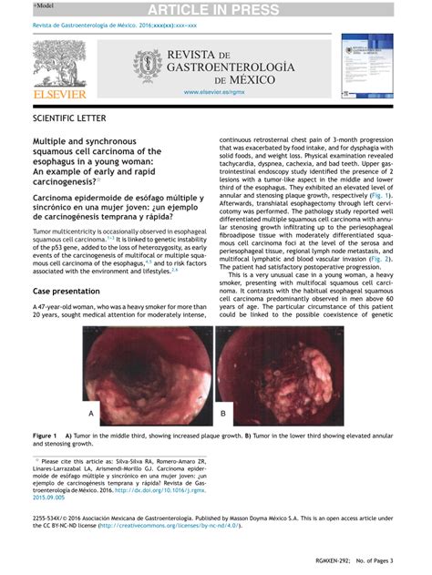 Pdf Multiple And Synchronous Squamous Cell Carcinoma Of The Esophagus