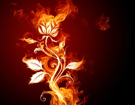 1440x2560 Resolution Flower Flame Poster Fire Flowers Artwork Hd