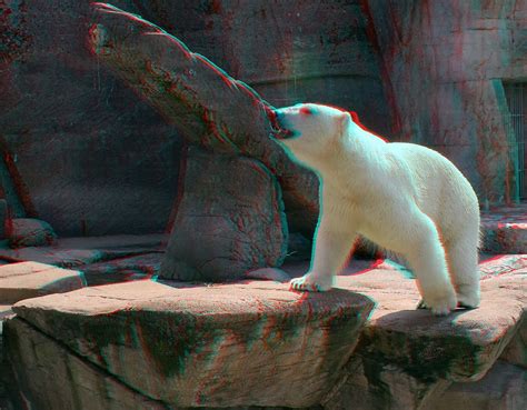 8 Awesome Anaglyph 3d Images Set 2 ~ Ab Solut Everdict Blogspot