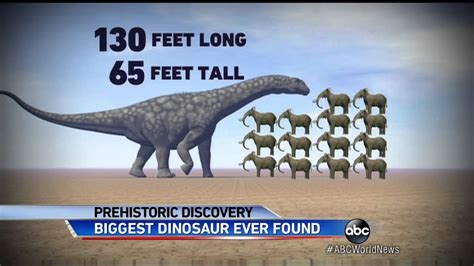Biggest Dinosaur Ever Found Giant Titanosaurus Discovered In Argentina