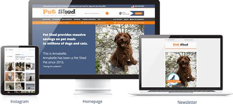 Pet Shed Community Get Your Pet Featured