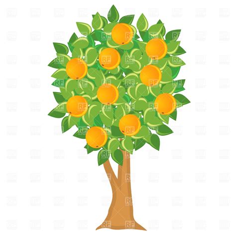 Lime Tree Clipart Clipground