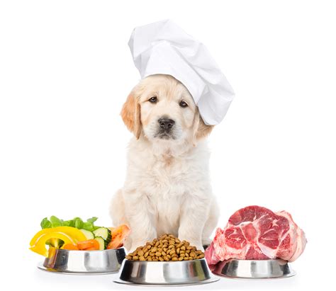 Food allergies are actually rare in dogs, and these allergies are more likely to be caused by the environment and sometimes genetics, studies show. Organic Dog Food vs Meat-Based Diets (New Resarch) 2018