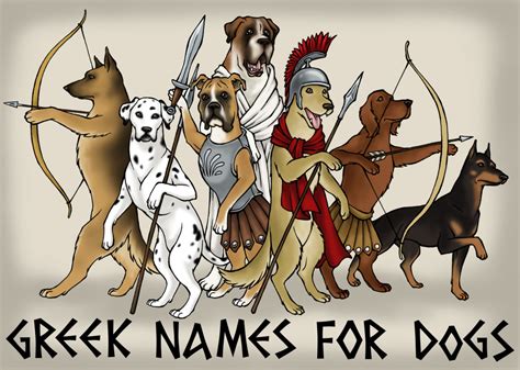 200 Unique Greek Dog Names For Your Male Dog From Myth And History