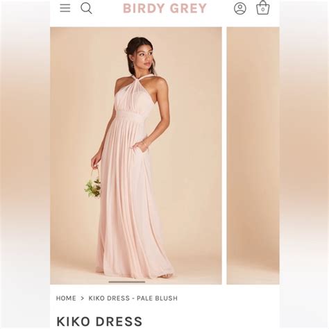 Birdy Grey Dresses Birdy Grey Kiko Blush Pink Bridesmaid Dress Nwt