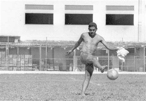 The word garrincha itself means wren. A vida torta de Mané Garrincha - Geraldo Mayrink
