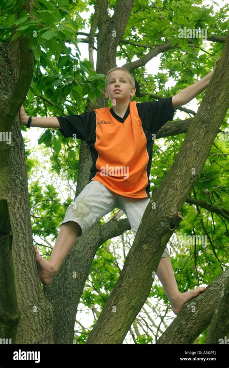 Page Boy Climbing Tree Barefoot High Resolution Stock Photography