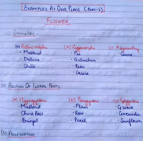 All Ncert Examples From Morphology Of Flowering Plants For Neet 2020 At
