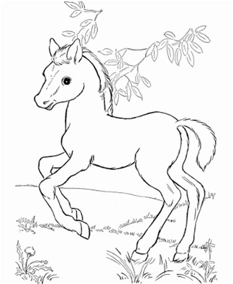 Cute Horse Coloring Pages At Free Printable