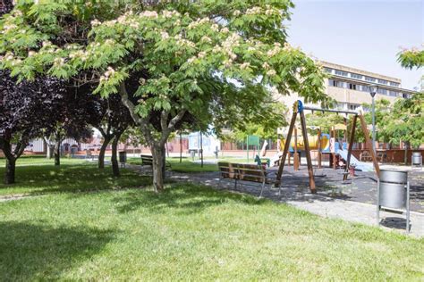 Parque Colegio San Miguel2 Ayuntamiento De Armilla