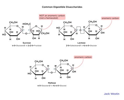 5d Disaccharides Carbohydrates Organic Mcat Content
